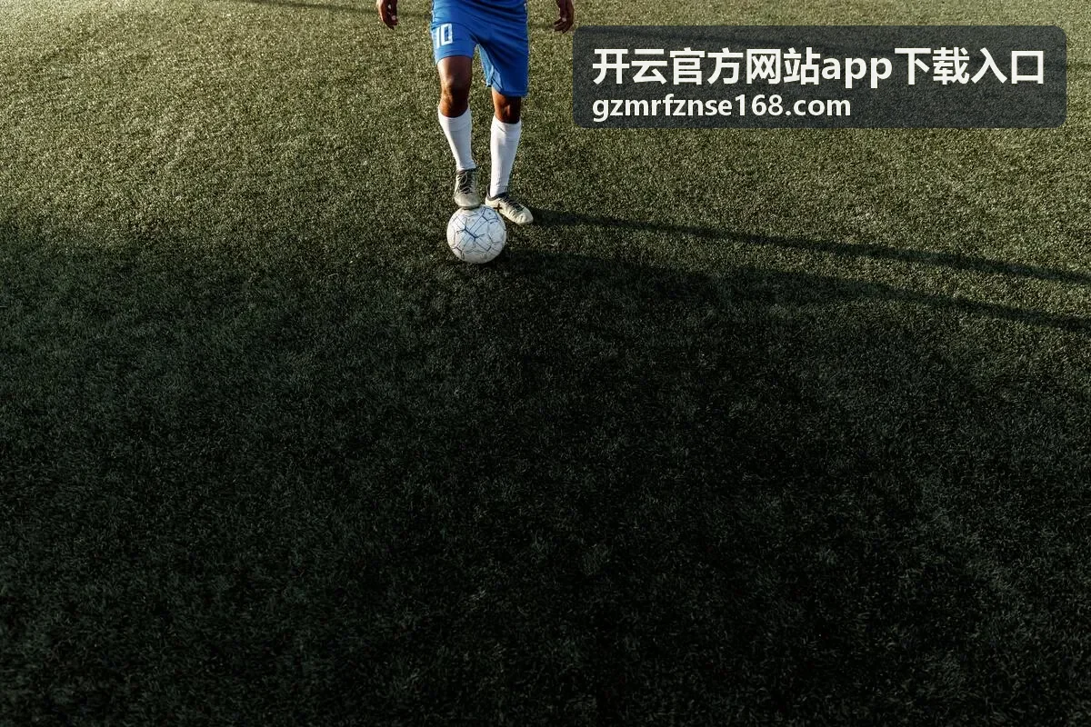 开云官方网站app下载入口快捷搜索功能界面示意